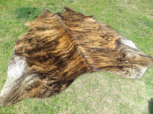 New large brindle caramel - new,